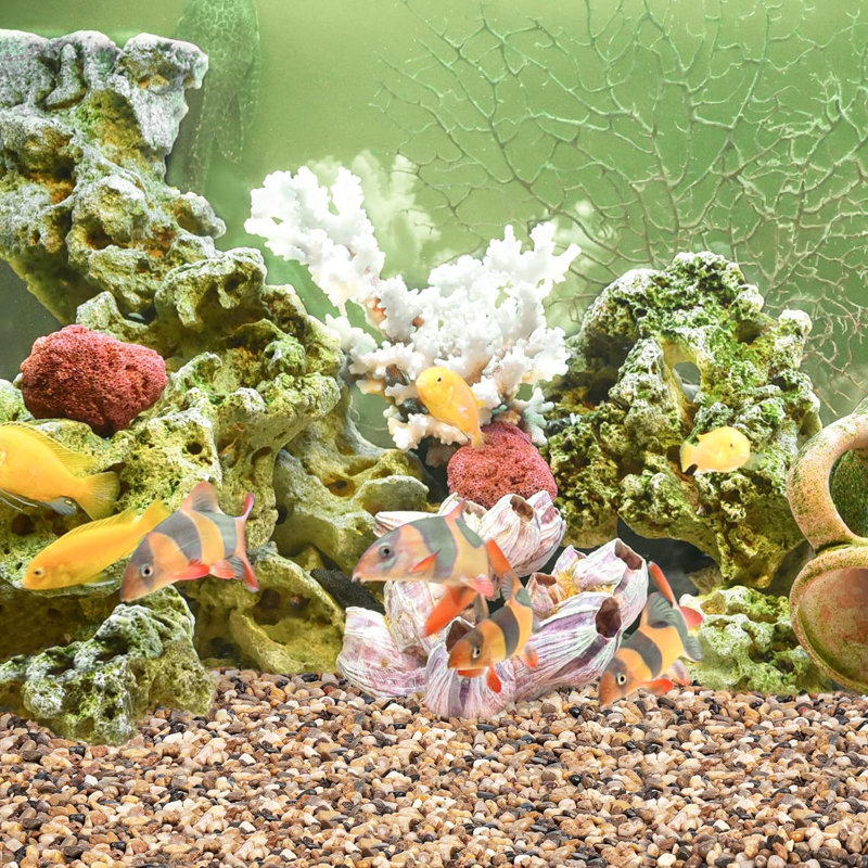 Tropical fish gravel top